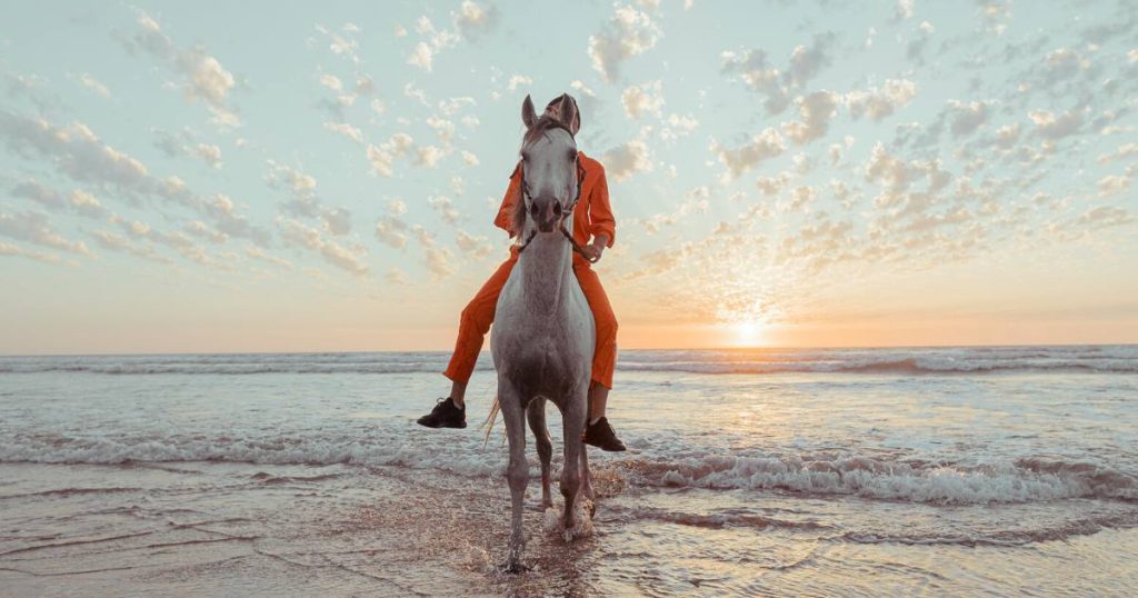 cheval ile maurice